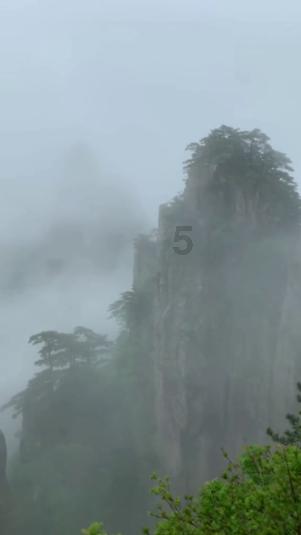呆萌动物对对碰