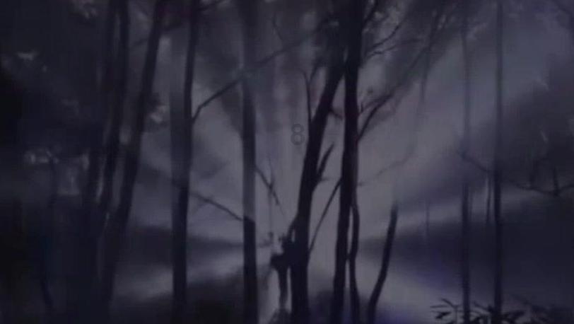 萌宠大连接