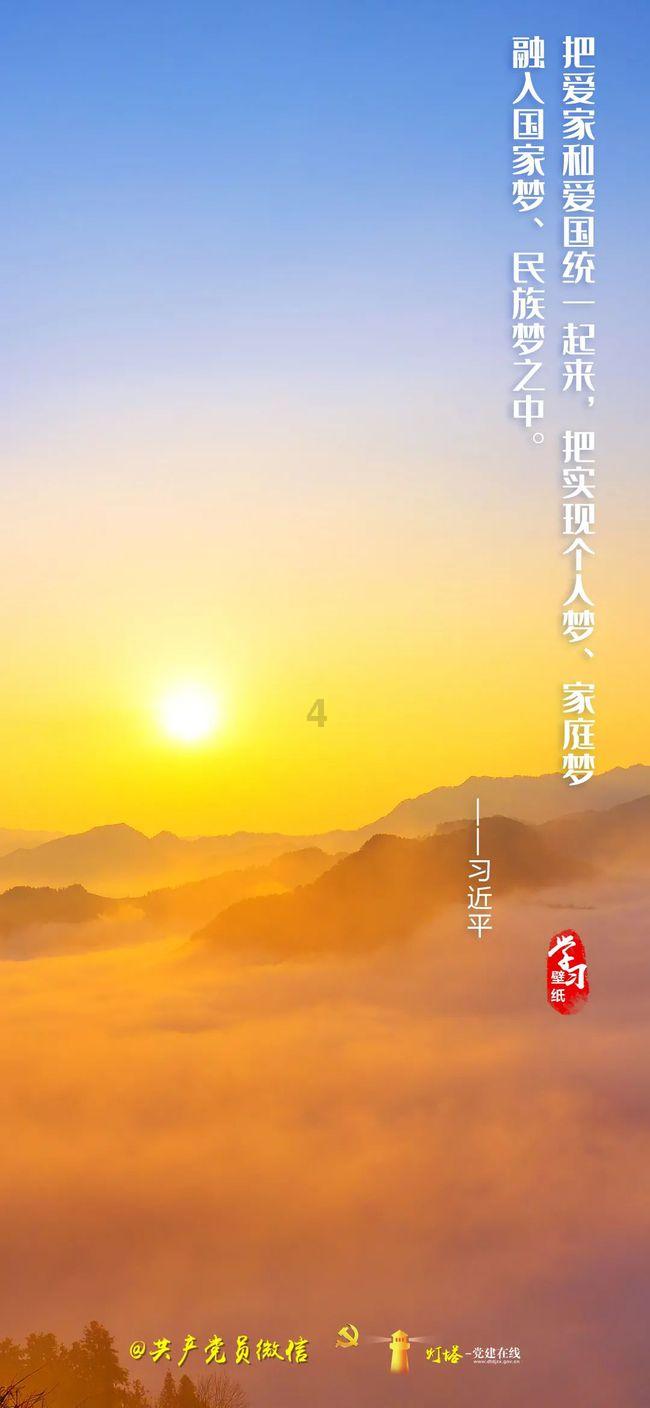 大白猫逃脱
